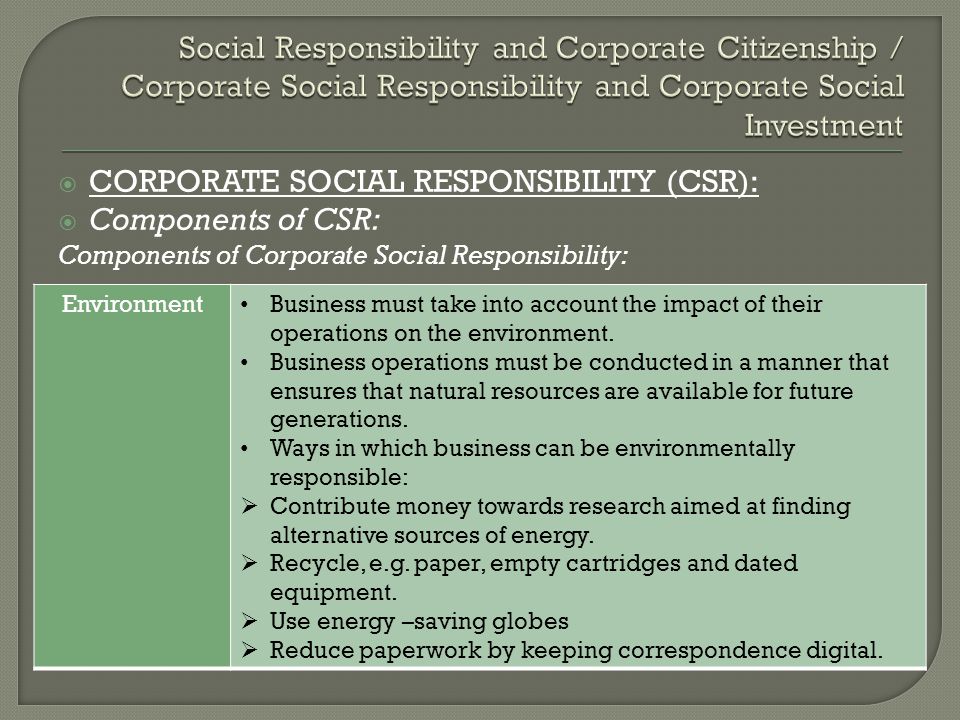 Essay on Social Responsibility